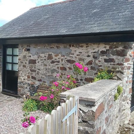 The Old Workshop Villa Knowstone Exterior photo
